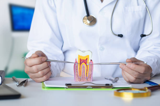 Best Cracked Tooth Emergency Dentist  in Spring Grove, IL